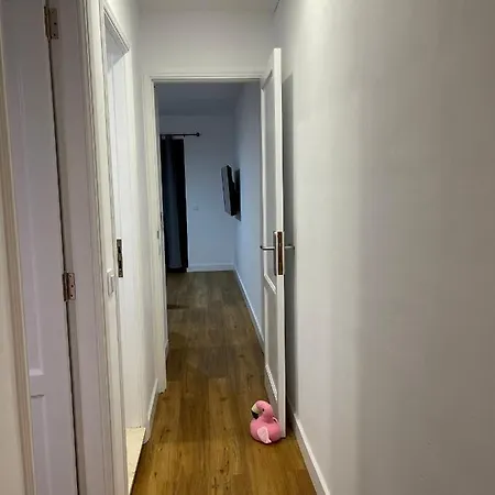 Apartamento Fabuloso En Cancajos